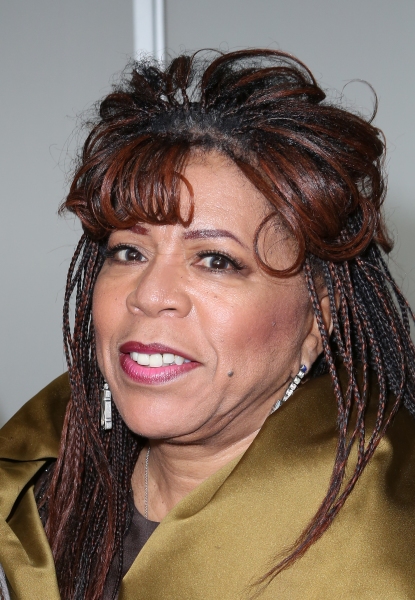 Photo Coverage: On the Red Carpet at the New Federal Theatre's 44th Anniversary Gala Image