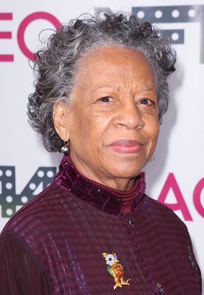 Photo Coverage: On the Red Carpet at the New Federal Theatre's 44th Anniversary Gala Image