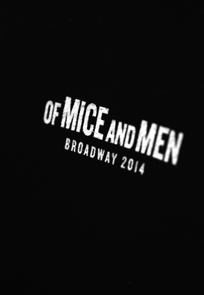 Photo Coverage: James Franco, Chris O'Dowd & Leighton Meester Take First Bows in OF MICE AND MEN Image