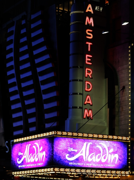 Photo Coverage: Inside ALADDIN's Magical Opening Night Curtain Call! Image