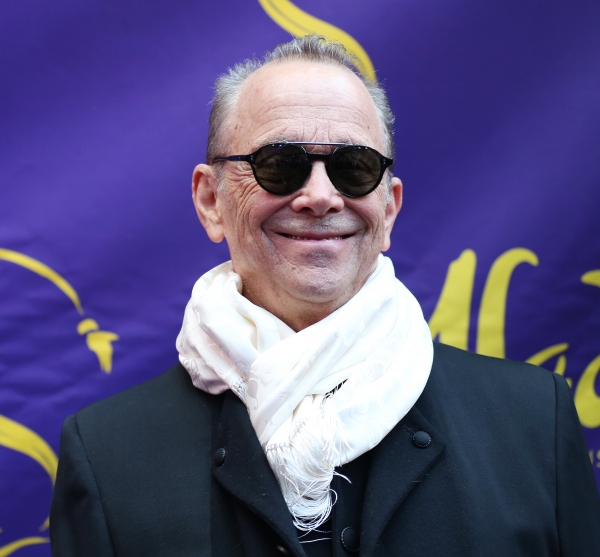 Photo Coverage: Inside ALADDIN's Opening Night Theatre Arrivals! Image