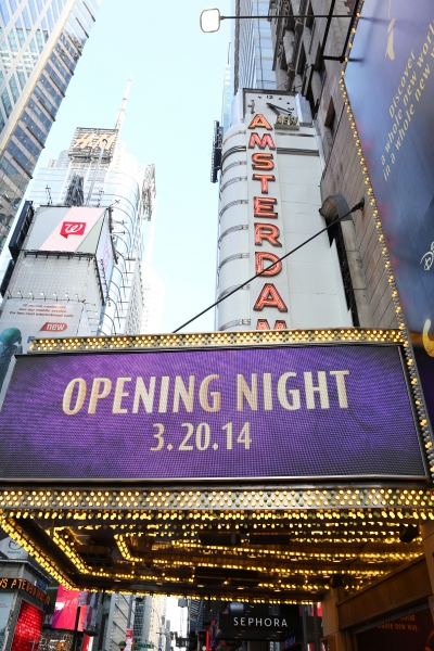 Photo Coverage: Inside ALADDIN's Opening Night Theatre Arrivals! Image