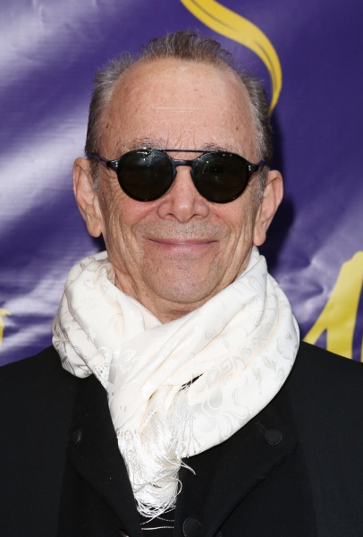 Photo Coverage: Inside ALADDIN's Opening Night Theatre Arrivals! Image