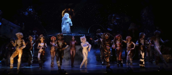 Photo Flash: First Look at San Diego Musical Theatre's CATS Image