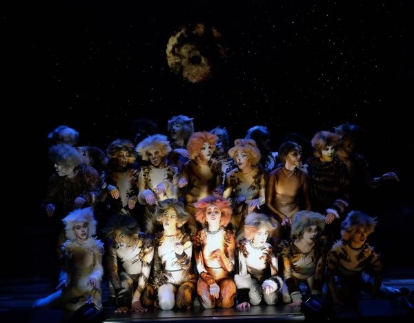 Photo Flash: First Look at San Diego Musical Theatre's CATS 