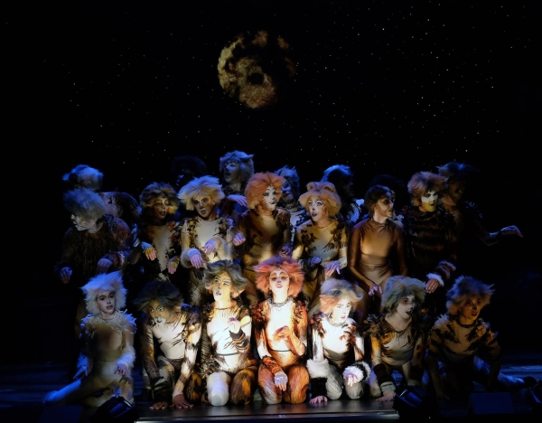 Photo Flash: First Look at San Diego Musical Theatre's CATS Image