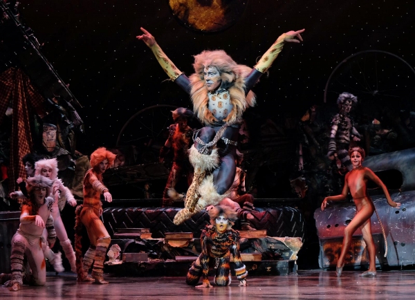 Photo Flash: First Look at San Diego Musical Theatre's CATS Image