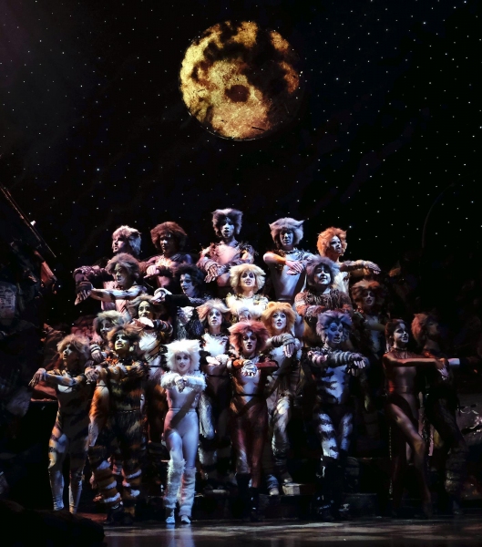 Photo Flash: First Look at San Diego Musical Theatre's CATS Image
