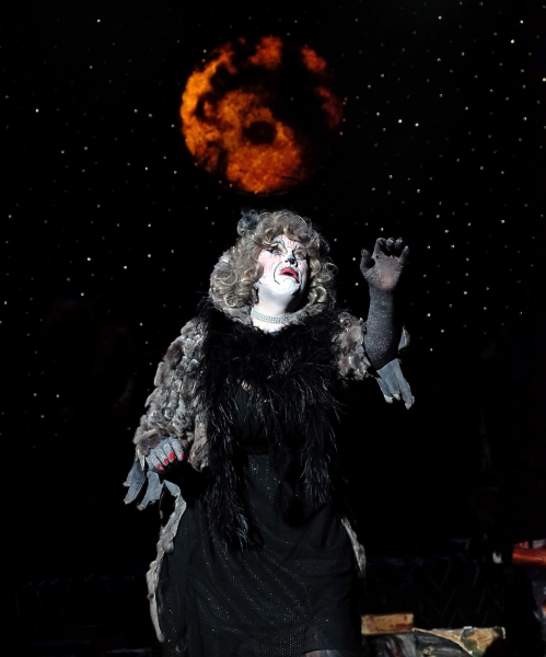 Photo Flash: First Look at San Diego Musical Theatre's CATS Image
