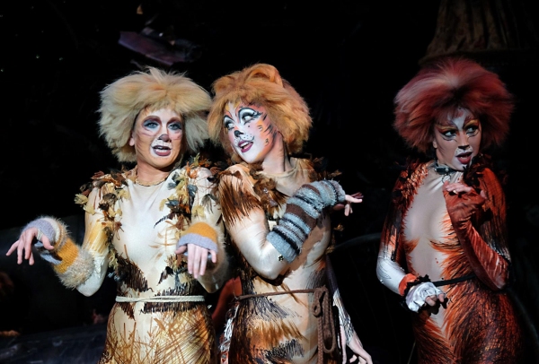 Photo Flash: First Look at San Diego Musical Theatre's CATS Image