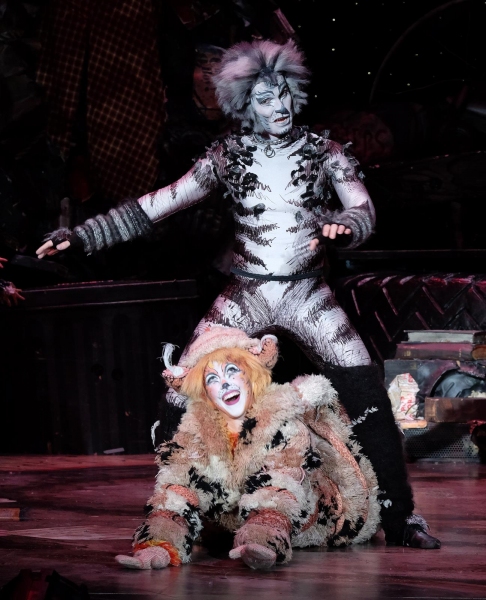 Photo Flash: First Look at San Diego Musical Theatre's CATS Image