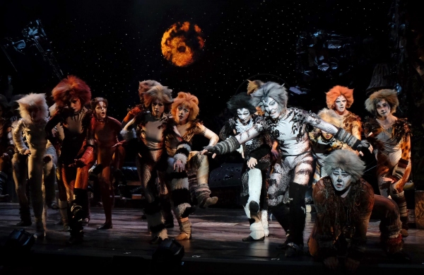 Photo Flash: First Look at San Diego Musical Theatre's CATS Image