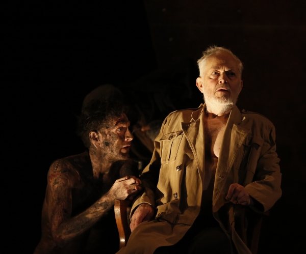 Photo Flash: First Look at Michael Pennington and More in KING LEAR at Theater for a New Audience Image