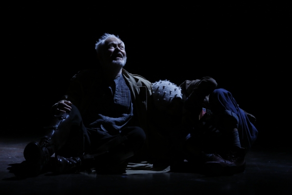Photo Flash: First Look at Michael Pennington and More in KING LEAR at Theater for a New Audience Image