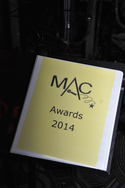 Photo Coverage: Inside the 2014 MAC Awards Ceremony! 