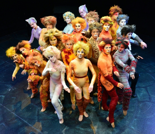 Photo Flash: First Look at Heidi Kettenring, Matthew R. Jones and More in Marriott Theatre's CATS Image
