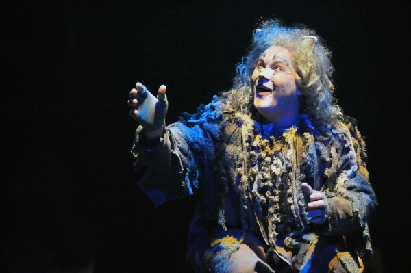 Photo Flash: First Look at Heidi Kettenring, Matthew R. Jones and More in Marriott Theatre's CATS Image