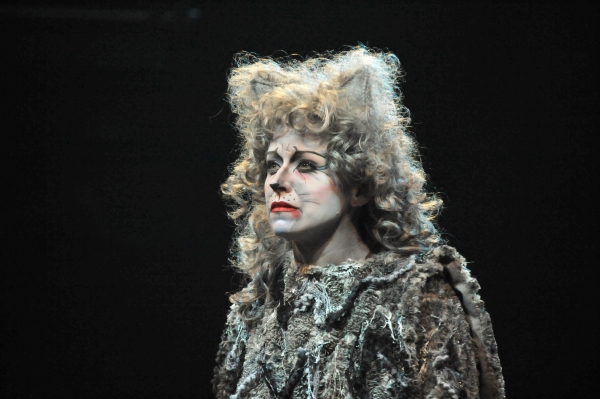 Photo Flash: First Look at Heidi Kettenring, Matthew R. Jones and More in Marriott Theatre's CATS Image