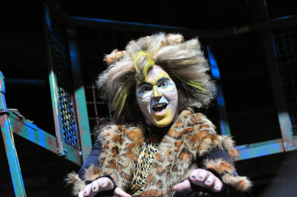 Photo Flash: First Look at Heidi Kettenring, Matthew R. Jones and More in Marriott Theatre's CATS Image