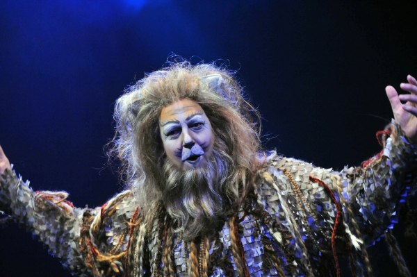 Photo Flash: First Look at Heidi Kettenring, Matthew R. Jones and More in Marriott Theatre's CATS Image