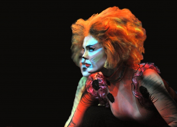 Photo Flash: First Look at Heidi Kettenring, Matthew R. Jones and More in Marriott Theatre's CATS Image