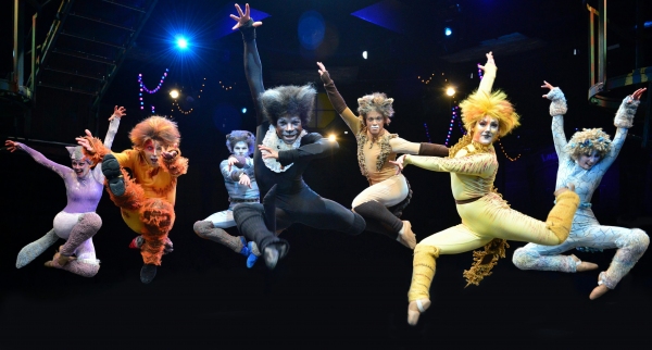 Photo Flash: First Look at Heidi Kettenring, Matthew R. Jones and More in Marriott Theatre's CATS Image