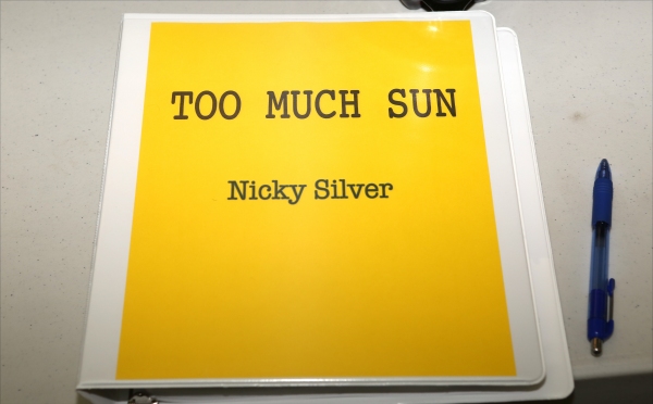 Photo Coverage: Meet the Company of Vineyard Theatre's TOO MUCH SUN Image