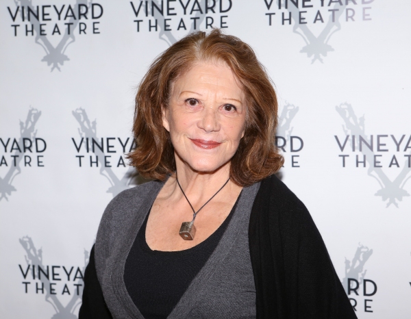 Photo Coverage: Meet the Company of Vineyard Theatre's TOO MUCH SUN Image