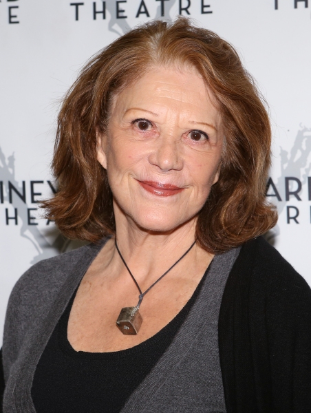 Photo Coverage: Meet the Company of Vineyard Theatre's TOO MUCH SUN Image