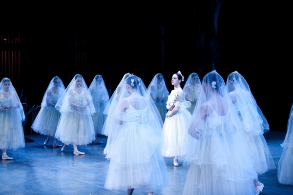 Photo Flash: First Look at Pacific Northwest Ballet's GISELLE Photo Flash: First Look at Pacific Northwest Ballet's GISELLE Image