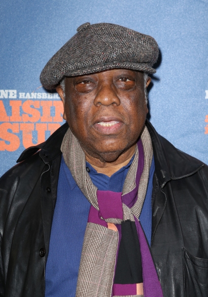 Photo Coverage: Inside A RAISIN IN THE SUN's Opening Night Theatre Arrivals Image
