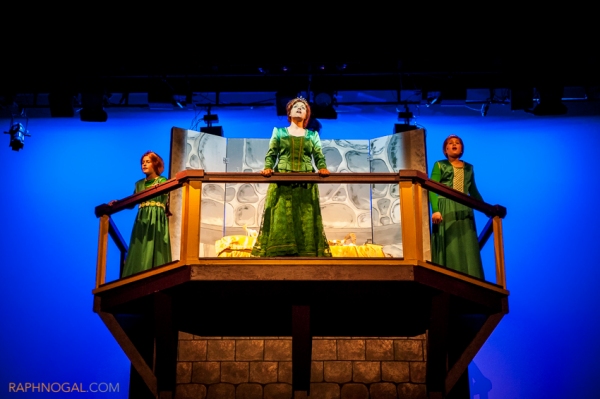 Photo Flash: See Photos from Marquee Productions Shrek the Musical! Image