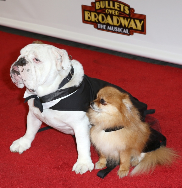 Photo Coverage: Inside BULLETS OVER BROADWAY's Opening Night Arrivals! Image