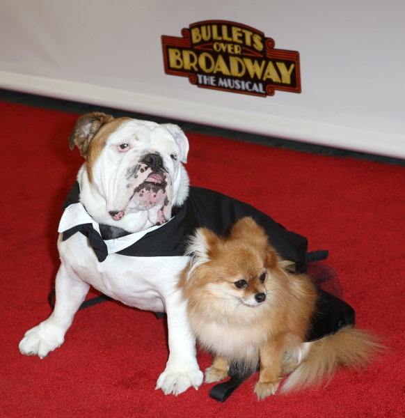 Photo Coverage: Inside BULLETS OVER BROADWAY's Opening Night Arrivals! Image
