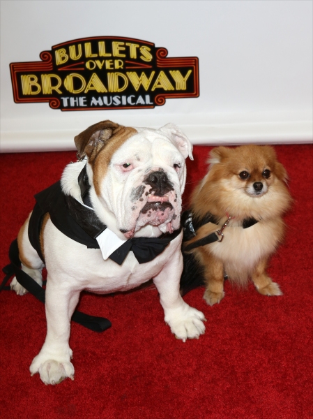 Photo Coverage: Inside BULLETS OVER BROADWAY's Opening Night Arrivals! Image