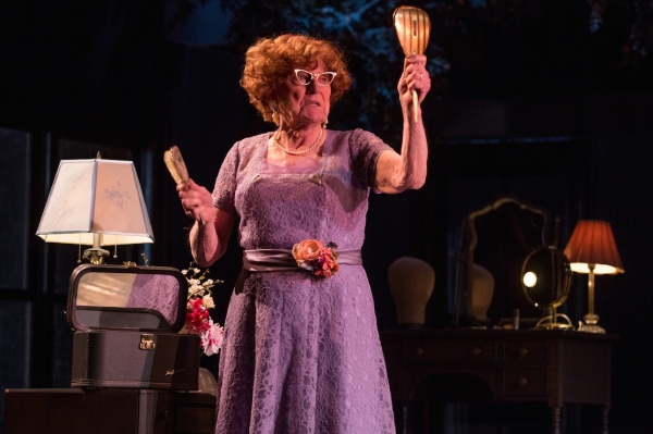 Photo Flash: First Look at Patrick Page & More in MTC's CASA VALENTINA Image