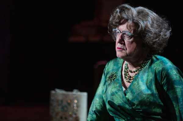 Photo Flash: First Look at Patrick Page & More in MTC's CASA VALENTINA Image