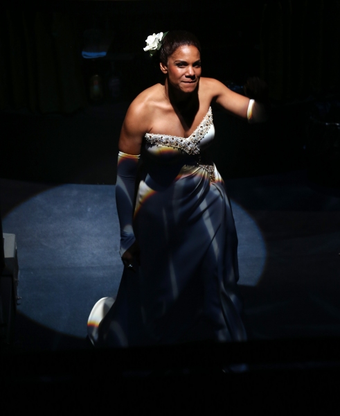 Photo Coverage: Audra McDonald Takes Opening Night Bows in LADY DAY AT EMERSON'S BAR & GRILL Image