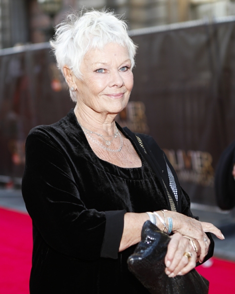 Photo Coverage: OLIVIERS 2014 - Red Carpet Part 2, Davis, Dench, Freeman, Hiddlestone and More! Image