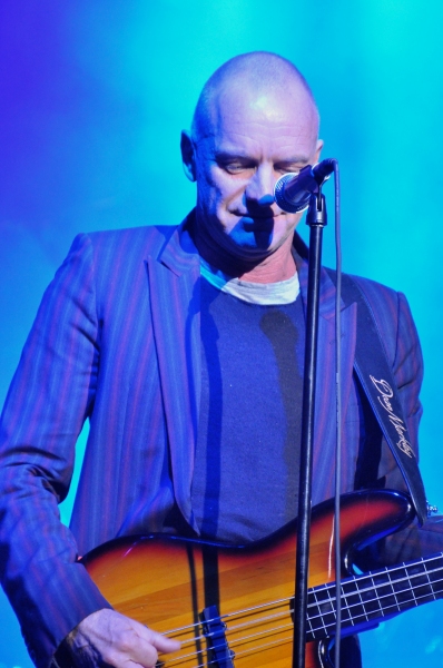 Sting Photo