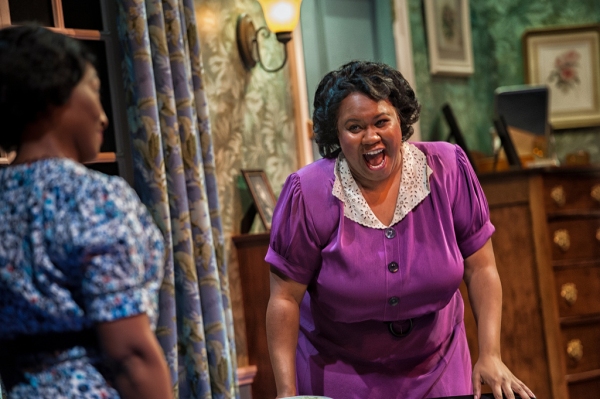 Photo Flash: First Look at Dawn Ursula, Yaegel T. Welch and More in Everyman Theatre's BY THE WAY, MEET VERA STARK Image