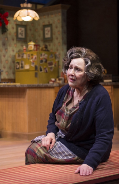 Photo Flash: First Look - MIRACLE ON SOUTH DIVISION STREET at Theatre at the Center Image