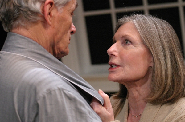 Photo Flash: First Look at Susan Sullivan, David Selby & More in A DELICATE BALANCE Image