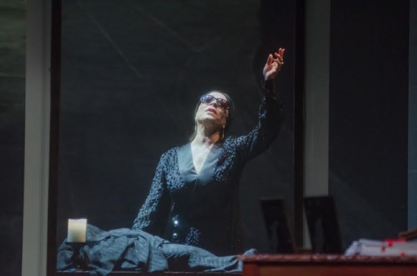 Photo Flash: New Shots from Media Theatre's SUNSET BOULEVARD, Starring Ann Crumb and Sean Thompson Image
