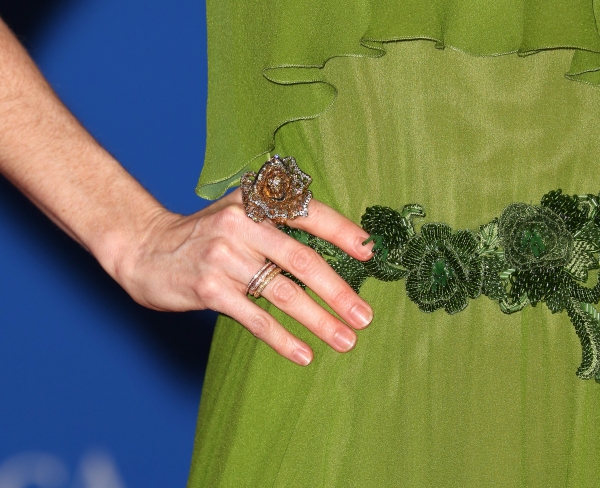 Photo Coverage: On the Red Carpet at the White House Correspondents' Association Dinner Image