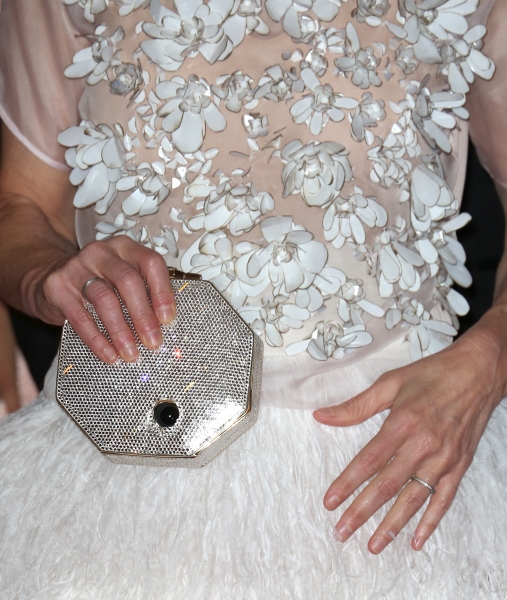 Photo Coverage: On the Red Carpet at the White House Correspondents' Association Dinner  Image