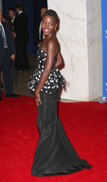 Photo Coverage: On the Red Carpet at the White House Correspondents' Association Dinner Image