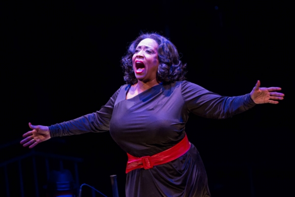 Photo Flash: First Look at Levi Kreis, Nova Y. Payton and More in SMOKEY JOE'S CAFE at Arena Stage Image