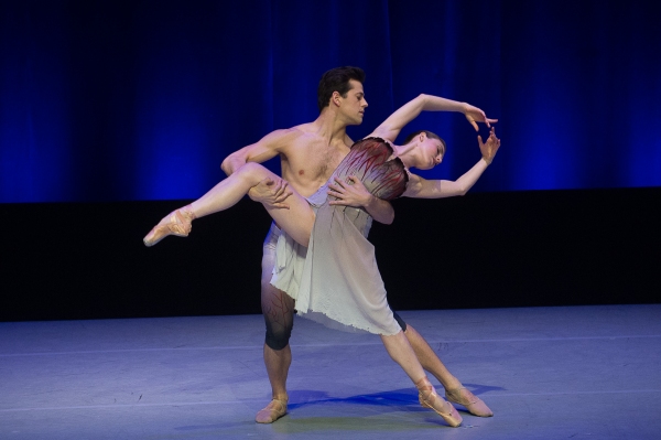 Photo Flash: Dance Against Cancer Raises Over $200,000 for the American Cancer Society Image
