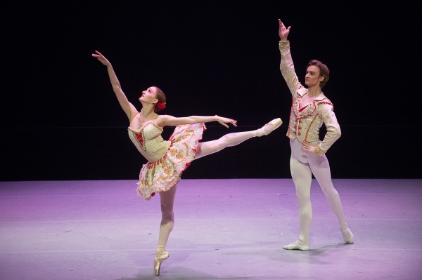 Photo Flash: Dance Against Cancer Raises Over $200,000 for the American Cancer Society Image